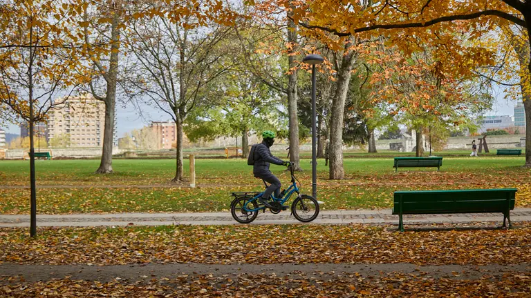 Con la llegada del fr&iacute;o, las calles y parques de Pamplona se han cubierto de hojas dejando estampas oto&ntilde;ales por toda la ciudad. I&Ntilde;IGO ALZUGARAY