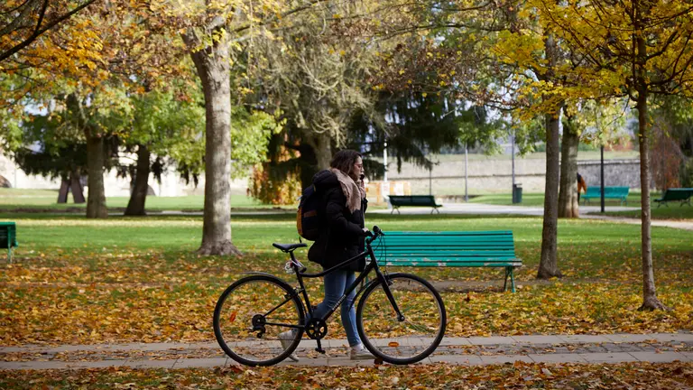 Con la llegada del fr&iacute;o, las calles y parques de Pamplona se han cubierto de hojas dejando estampas oto&ntilde;ales por toda la ciudad. I&Ntilde;IGO ALZUGARAY