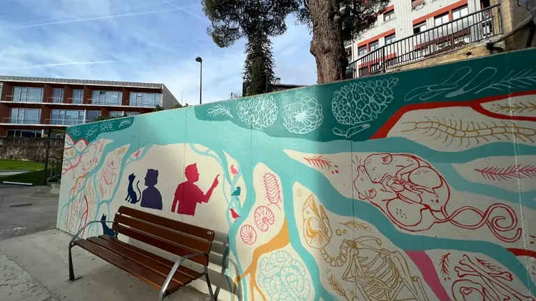 El mural, a los pies del m&iacute;tico pino de la calle Juan de Labrit de Estella. AYUNTAMIENTO DE ESTELLA