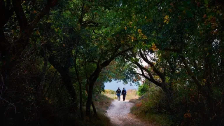 Una de las im&aacute;genes que ilustran el calendario de 
Correos y que muestra dos peregrinos que acaban de salir al sol tras pasar por una zona arbolada. CORREOS