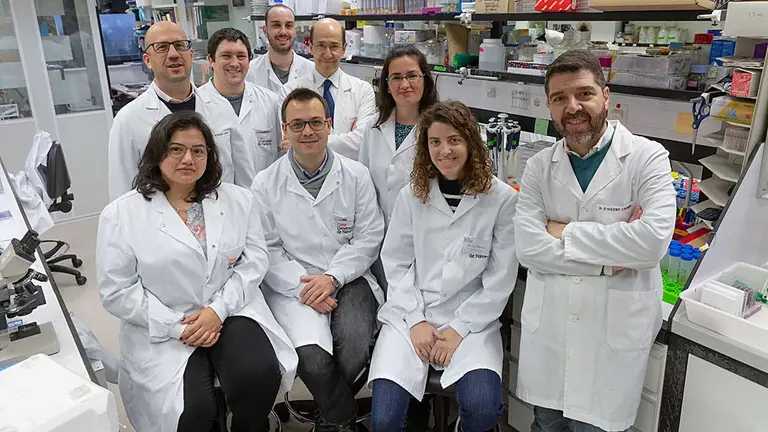 De izquierda a derecha: Shruthi Narayanana, Mariano Ponz Sarvise, Haritz Moreno, Rodrigo Entrialgo, Fernando Lecanda, Elizabeth Guruceaga, Iker Feliu, Irati Macaya y Silvestre Vicent.