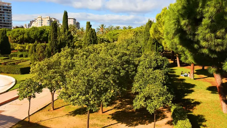 La exposici&oacute;n materna a entornos naturales favorece un crecimiento fetal saludable. &copy; Shutterstock - Maksim Safaniuk. (1)