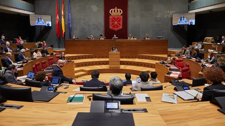 Pleno del Parlamento de Navarra. I&Ntilde;IGO ALZUGARAY