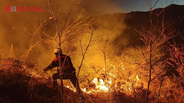 Los bomberos se afanan para combatir las llamas en uno de los incendios registrados en Navarra en las &uacute;ltimas horas. BOMBEROS DE NAVARRA