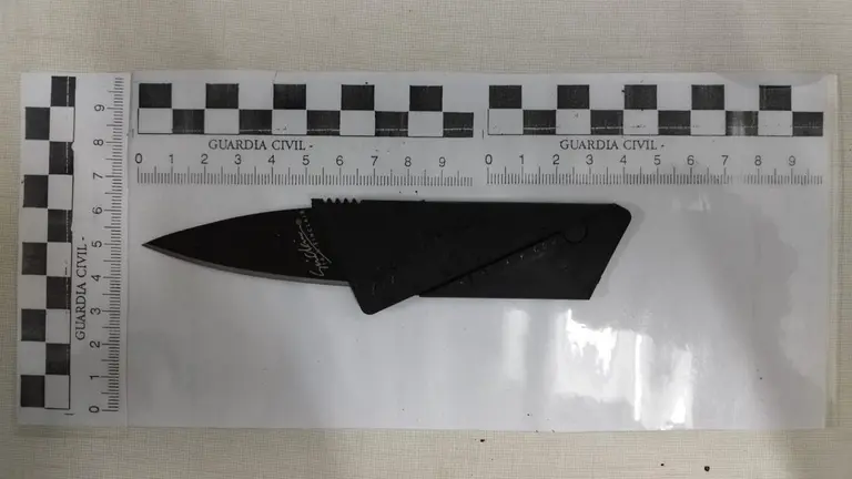 Incautaron armas a los 'okupas'. GUARDIA CIVIL