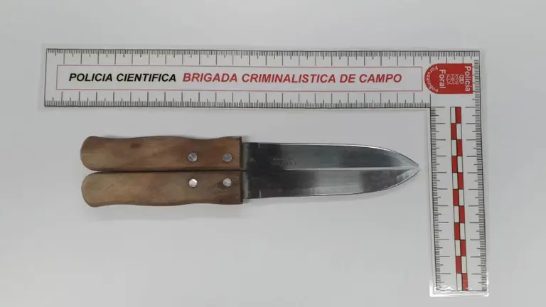 Arma incautada al detenido con la que amenaz&oacute; a los agentes. POLIC&Iacute;A FORAL