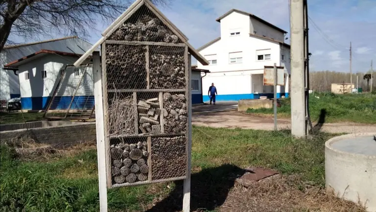En Sartaguda hay un hotel para insectos. CEDIDA