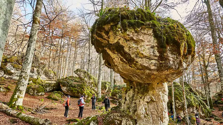 Imagen de archivo del Bosque Encantado en Navarra. Javier Campos