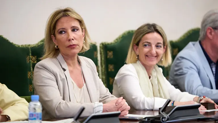 Esmeralda Maso Cabez&oacute;n e Isabel Mart&iacute;nez-Pe&ntilde;uela Marco toman posesi&oacute;n de sus cargos como concejalas del grupo municipal Navarra Suma en el Ayuntamiento de Pamplona en un pleno extraordinario. PABLO LASAOSA