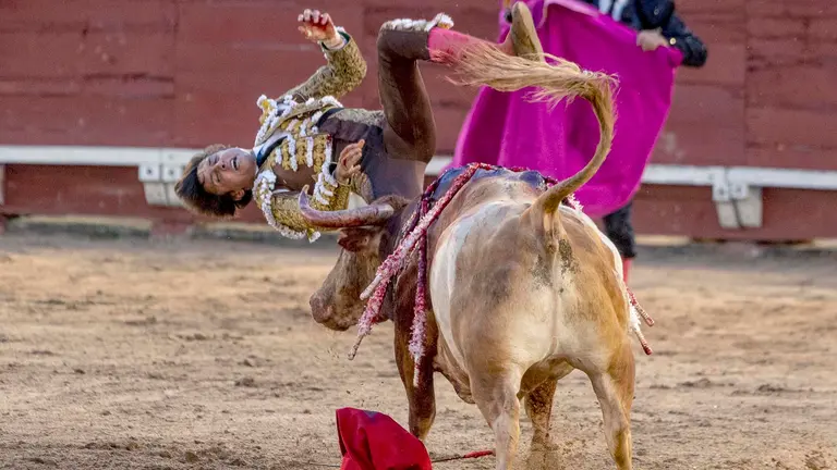 El diestro peruano Roca Rey sufre una cogida en la corrida de toros parte de la celebraci&oacute;n de la fiesta del Corpus Christi este jueves, en Toledo. EFE/ Ismael Herrero
