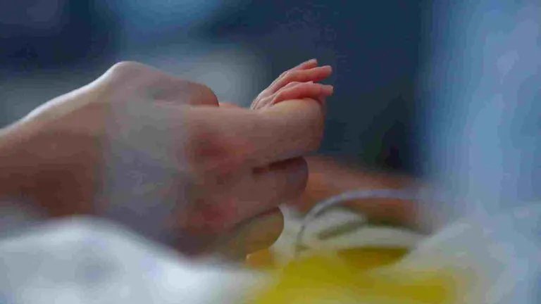 El proyecto CaixaResearch Placenta Artificial logra una supervivencia de 12 d&iacute;as con buen estado fetal. &copy; Fundaci&oacute;n "la Caixa". CEDIDA