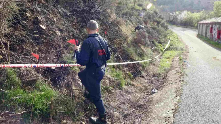 Agentes de la Polic&iacute;a Foral investigan el punto de inicio del incendio. POLIC&Iacute;A FORAL