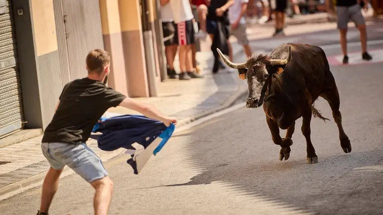 Tarde de vacas en fiestas de Mutilva 2023 a cargo de Macua. PABLO LASAOSA