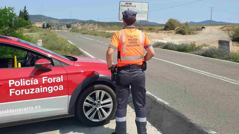 Un agete de la Polic&iacute;a Foral en un control de carreteras. POLIC&Iacute;A FORAL