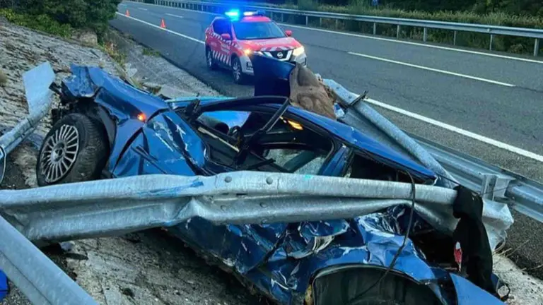 La Polic&iacute;a Foral atiende la salida de v&iacute;a ocurrida en la Autov&iacute;a A-10. POLIC&Iacute;A FORAL