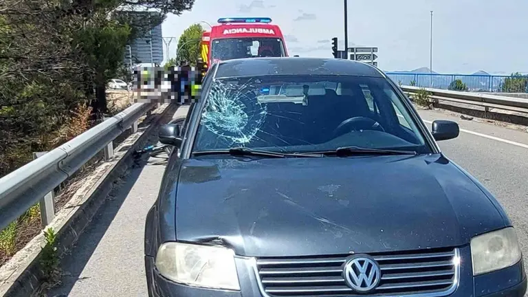 La mujer que no ha podido superar las heridas causadas por el impacto  contra el coche. POLIC&Iacute;A FORAL