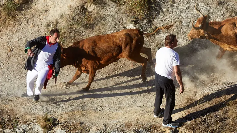 S&eacute;ptimo encierro del Pil&oacute;n de Falces 2023. I&Ntilde;IGO ALZUGARAY