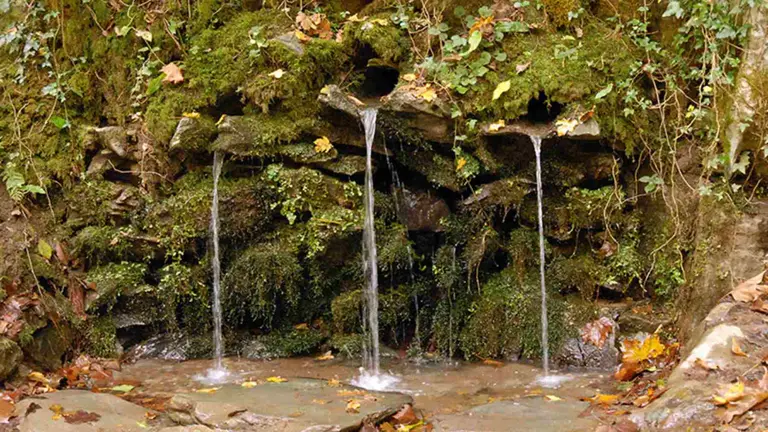 Manantial de San Juan Xar en Igantzi. GOBIERNO DE NAVARRA