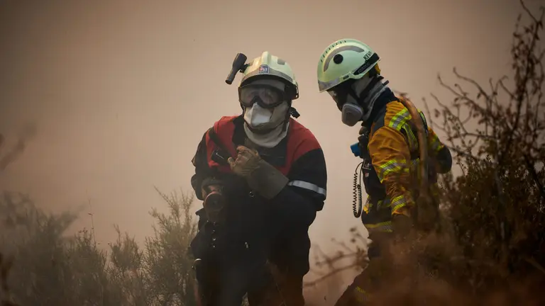 Dos bomberos de Navarra en la extinci&oacute;n de un incendio forestal PABLO LASAOSA