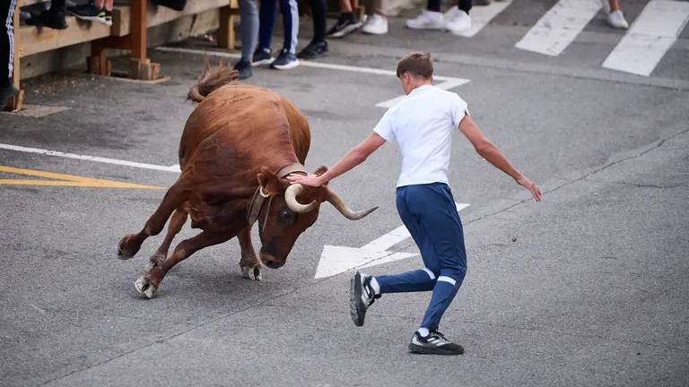 Tarde de vacas en el último día de fiestas de Noáin 2023. PABLO LASAOSA