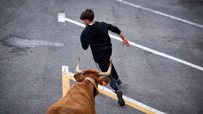 Tarde de vacas en el último día de fiestas de Noáin 2023. PABLO LASAOSA