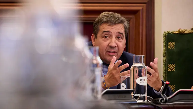 Carlos Salvador, de UPN, durante la celebraci&oacute;n del pleno del Ayuntamiento de Pamplona. PABLO LASAOSA