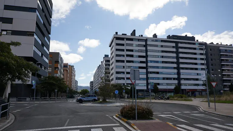 Ripagaina. I&Ntilde;IGO ALZUGARAY