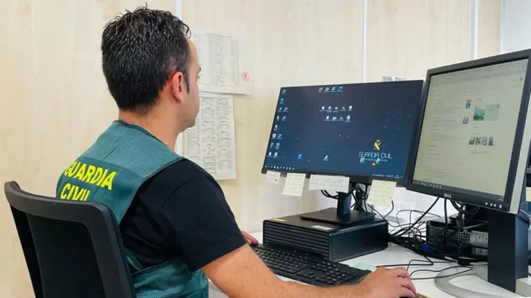 Un agente del Equipo @ de la Guardia Civil investiga una estafa en Navarra. GUARDIA CIVIL