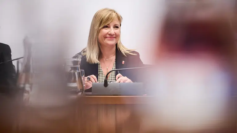 Amparo L&oacute;pez, Consejera de Interio, Funci&oacute;n P&uacute;blica e interior, en comisi&oacute;n del Parlamento de Navarra, para informar sobre las l&iacute;neas de trabajo que va a desarrollar su departamento durante la legislatura. PABLO LASAOSA