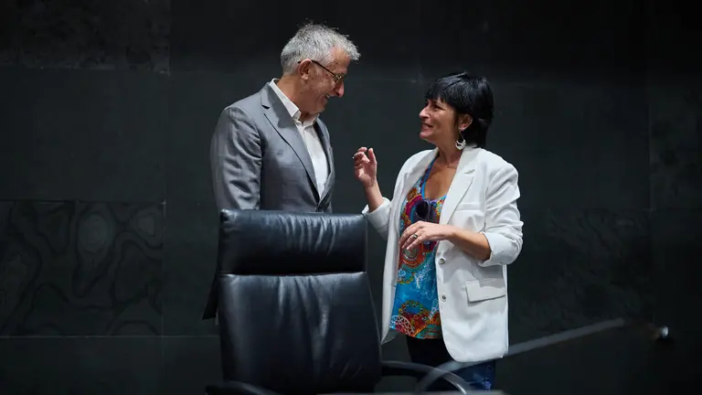 Laura Aznal, de EH Bildu habla con el vicepresidente F&eacute;lix Taberna minutos antes de comenzar el pleno del Parlamento. PABLO LASAOSA