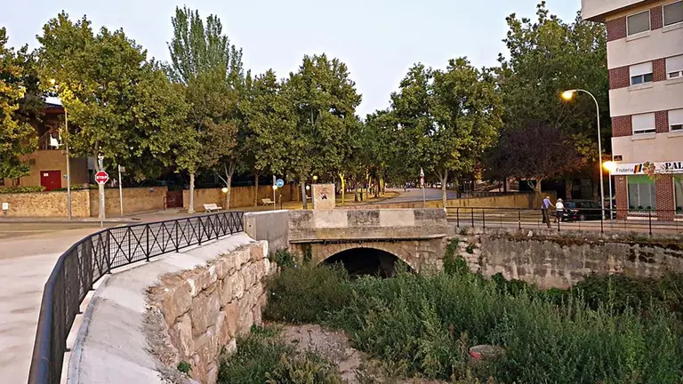 R&iacute;o Queiles a su paso por Tudela. TXEMARI