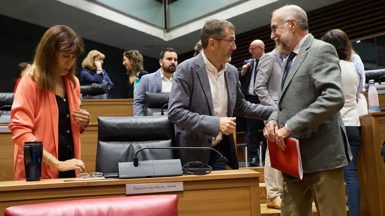 Pleno del Parlamento de Navarra. I&Ntilde;IGO ALZUGARAY