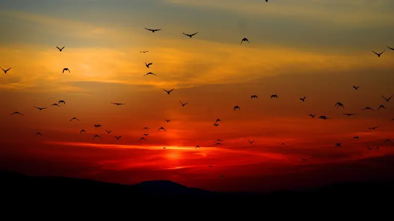 El sol se asoma entre las nubes en un amanecer de oto&ntilde;o. PIXABAI