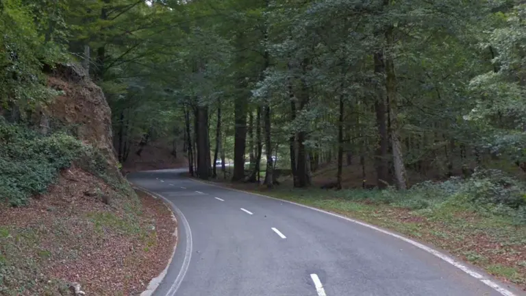 Paraje de la NA-138 que une Zubiri con la frontera de Francia por Quinto Real, en la que se ha producido el accidente. GOOGLEMAPS