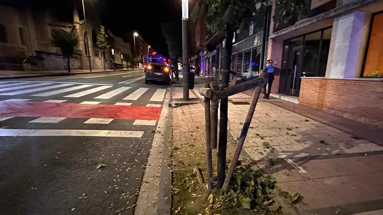 En primer t&eacute;rmino, el &aacute;rbol contra el que choc&oacute;. Delante, el coche siniestrado ya bajado de la acera mientras los agentes instruyen las diligencias. POLIC&Iacute;A MUNICIPAL DE PAMPLONA