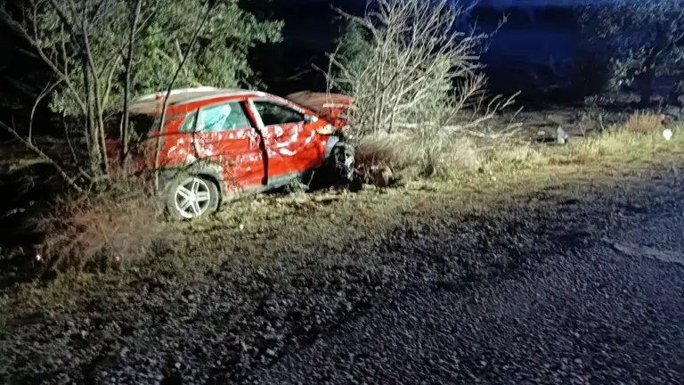 Imagen del veh&iacute;culo accidentado en Corella. BOMBEROS DE NAVARRA
