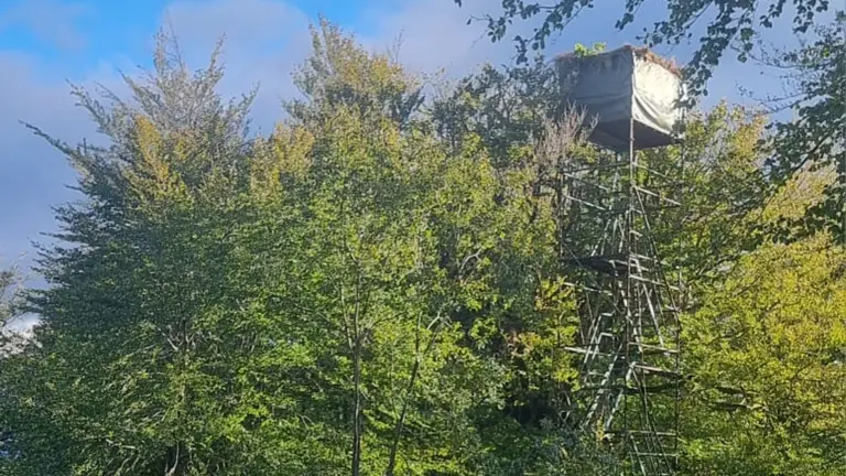 Imagen de la palomera desde la que ha ca&iacute;do un hombre y ha muerto. POLIC&Iacute;A FORAL