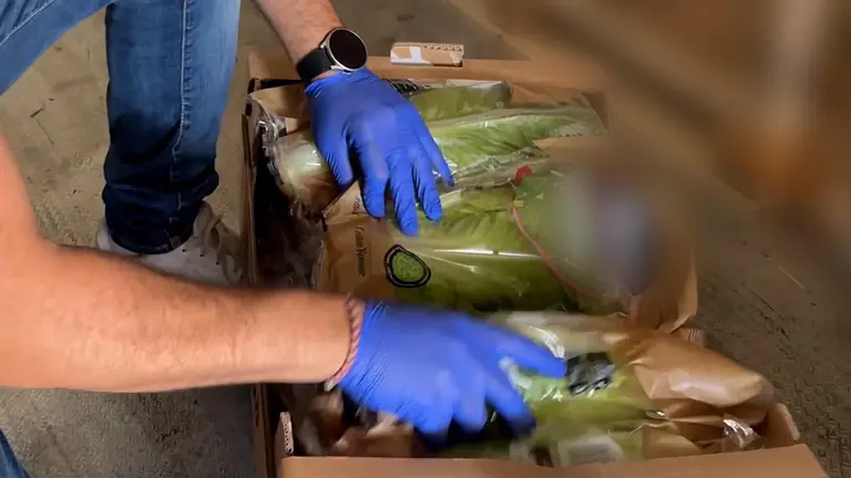 Imagen de un agente inspeccionando la mercanc&iacute;a robada. CEDIDA