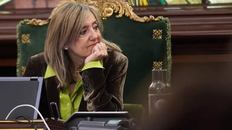 Pleno extraordinario del Ayuntamiento de Pamplona para tratar las modificaciones de cr&eacute;dito en el Presupuesto del Ayuntamiento y el organismo aut&oacute;nomo de Escuelas Infantiles que han sido aprobadas por unanimidad. I&Ntilde;IGO ALZUGARAY