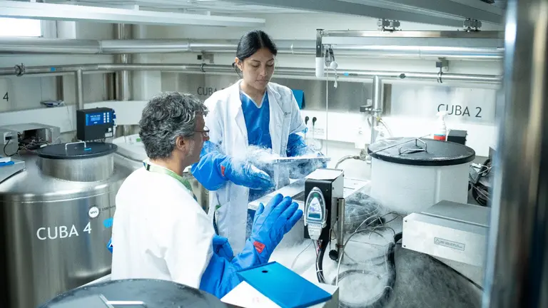Imagen de archivo de investigadores trabajando en el laboratorio del hospital Cl&iacute;nic de Barcelona en una investigaci&oacute;n conjunta contra el c&aacute;ncer de mama con la Universidad de Navarra. DAVID ZORRAKINO / EUROPA PRESS