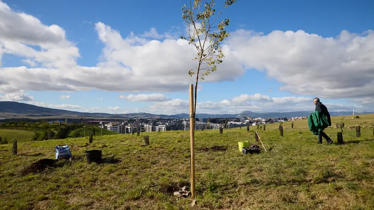 La alcaldesa de Pamplona, Cristina Ibarrola, junto con miembros de la Corporaci&oacute;n municipal, inauguran el 'Bosque Ol&iacute;mpico' en Mendillorri, una acci&oacute;n de compensaci&oacute;n de huella de carbono. Al acto ha asistido Alejandro Blanco, presidente del Comit&eacute; Ol&iacute;mpico Espa&ntilde;ol (COE) y deportistas ol&iacute;mpicos navarros como Nerea Pena, Izaskun Os&eacute;s, Carmen Rubio, Mari Lacruz, Miguel Indur&aacute;in, Juan Peralta o Jon Moncayola. I&Ntilde;IGO ALZUGARAY
