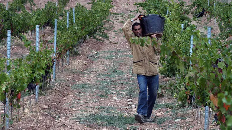 Imagen de archivo de un trabajador en el campo. ARCHIVO