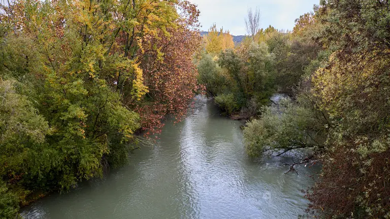 R&iacute;o Arga a su paso por Pamplona a la altura del Puente de la Rotxa. I&Ntilde;IGO ALZUGARAY