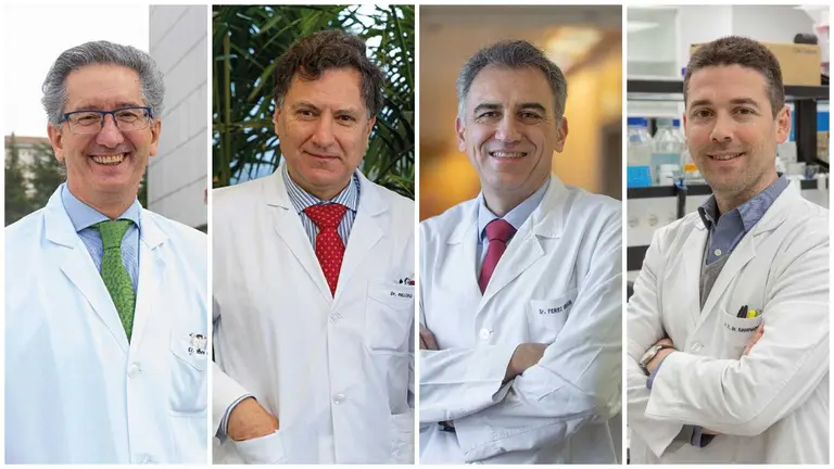De izquierda a derecha, los doctores Jes&uacute;s San Miguel, Ignacio Melero, Jos&eacute; Luis P&eacute;rez Gracia y Miguel Fern&aacute;ndez de Sanmamed. CL&Iacute;NICA UNIVERSIDAD DE NAVARRA