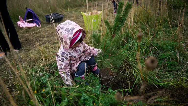 75 personas plantan 150 &aacute;rboles en el Bosque de absorci&oacute;n de di&oacute;xido de carbono del Pol&iacute;gono de Agustinos, promovido por el Ayuntamiento de Pamplona. PABLO LASAOSA