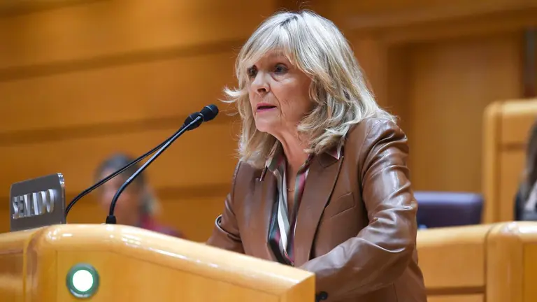 Archivo - Imagen de archivo de la senadora de UPN, Mar&iacute;a Caballero - Europa Press - Archivo