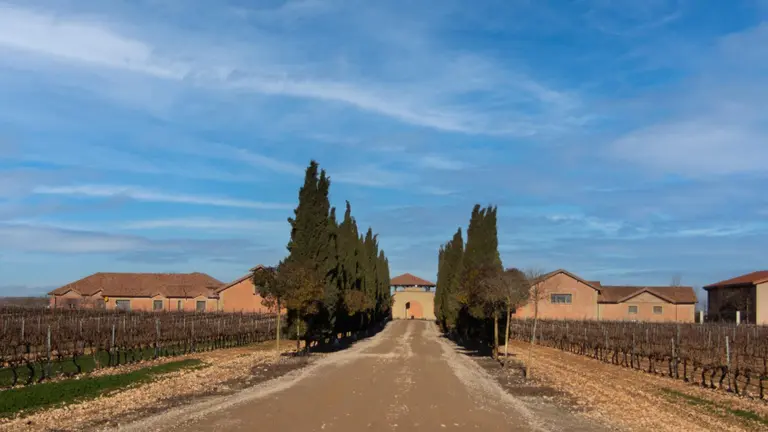 Imagen de la bodega de Familia Escudero. CEDIDA
