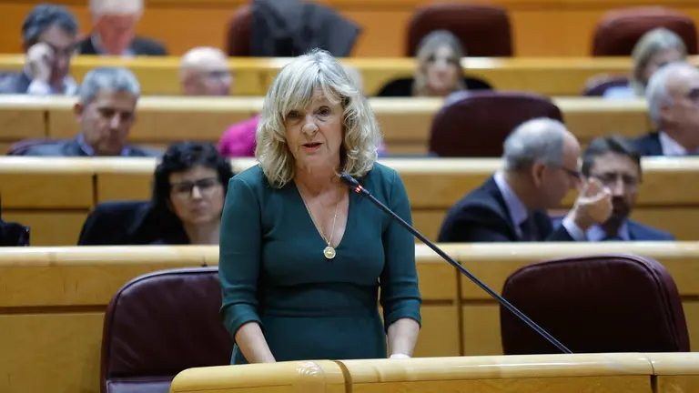 La senadora de UPN, Mar&iacute;a Caballero. SENADO