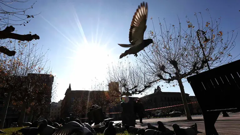 El frio intenso que se ha instalado hoy en Pamplona no impide el desarrollo de una normalidad entre los pamploneses que bien por trabajo o por el hecho de pasear o tomar un simple café en una terraza disfrutan de una jornada en la que la Agencia Estatal de Meteorología anuncia para este viernes heladas débiles generalizadas, moderadas en el cuadrante nordeste de la Comunidad Foral y localmente fuertes en el Pirineo. Se esperan además cielos poco nubosos con intervalos de nubes altas por la tarde, sin descartar algunas brumas o nieblas en zonas de montaña de la mitad norte por la mañana.  EFE/ Jesús Diges