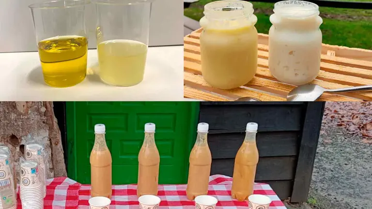 Aceite de oliva, l&aacute;cteos y cremas ayudar&aacute;n a curar las &uacute;lceras por presi&oacute;n en las personas mayores gracias a este proyecto navarro. ADITECH